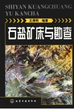 石盐矿床与勘查