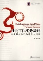 社会工作实务基础:专业服务技巧的综合与运用