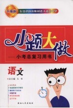 小题大做:小考总复习用书 语文 升级版