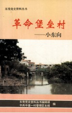 革命堡垒村 小东向