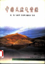 中国天然气资源