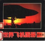 世界飞机图册 军机册