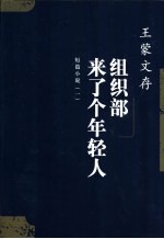 组织部来了个年轻人 短篇小说 1