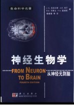 神经生物学 从神经元到脑
