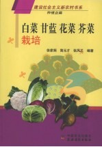 白菜 甘蓝 花菜 芥菜栽培