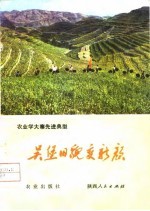 农业学大寨先进典型 吴堡旧貌变新颜