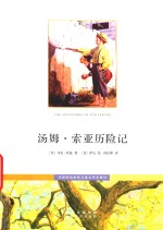 步印彩色世界儿童文学名著 03 汤姆 索亚历险记