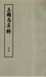 三国志集解 17