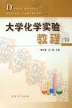 大学化学实验教程 下