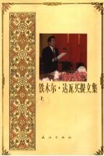 铁木尔·达瓦买提文集 上