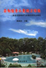 奔向绿色小康的兰洋镇 海南省儋州市兰洋镇经济社会调查