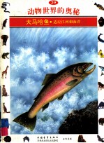 动物世界的奥秘 图集 29 大马哈鱼 适应江河和海洋