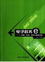 电子政务 战略、标准、绩效与智能决策