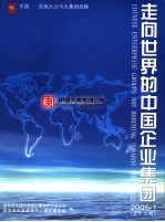 走向世界的中国企业集团 2005年 第1、2辑