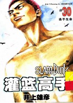 灌篮高手 30