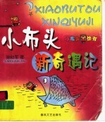 小布头新奇遇记