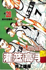 灌篮高手 28