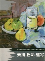 高等师范院校本科美术专业招生考试试卷评析 素描 色彩 速写