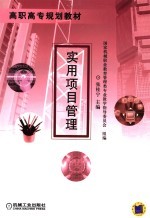 实用项目管理