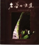 岩茶的味道 吴光明武夷岩茶摄影专题