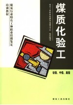 煤质化验工