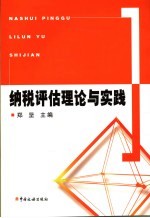 纳税评估理论与实践