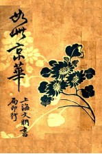 社会小说 如此京华 上
