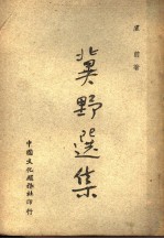 冀野选集