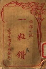 侦探小说 一粒钻 第3版