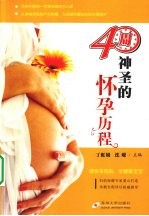 40周神圣的怀孕历程