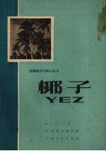 椰子