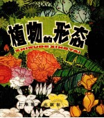 植物的形态