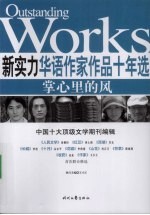 新实力华语作家作品十年选 掌心里的风