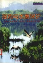 湿地与水禽保护 湿地与水禽保护 东北亚 国际研讨会文集