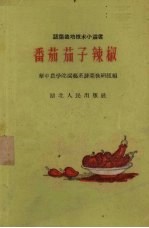 番茄 茄子 辣椒