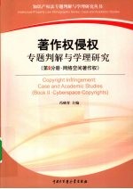 著作权侵权专题判解与学理研究 第2分册 网络空间著作权
