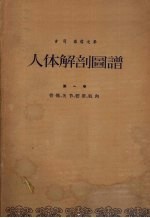人体解剖图谱 第1卷 骨骼,关节,韧带,肌肉