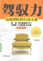驾驭力高效团队的行动方案