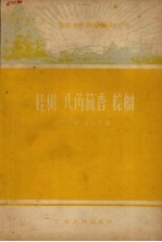 桂树 八角茴香 棕榈