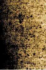 源氏物語の新研究