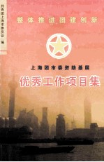 上海团市委资助基层 优秀工作项目集