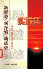 实践集 新形势 新探索 新成效