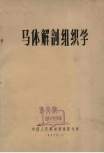 马体解剖组织学
