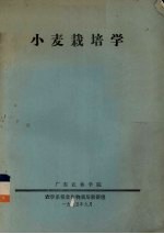 小麦栽培学