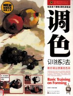 色彩单个静物 调色训练法