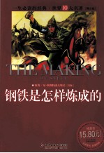 钢铁是怎样炼成的