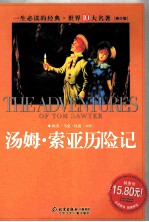 汤姆·索亚历险记