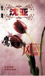 沈亚作品系列 鹰翼下的风