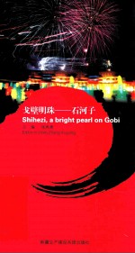 戈壁明珠 石河子