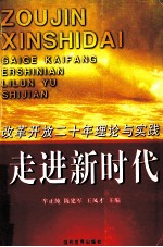 走进新时代 改革开放二十年的理论与实践